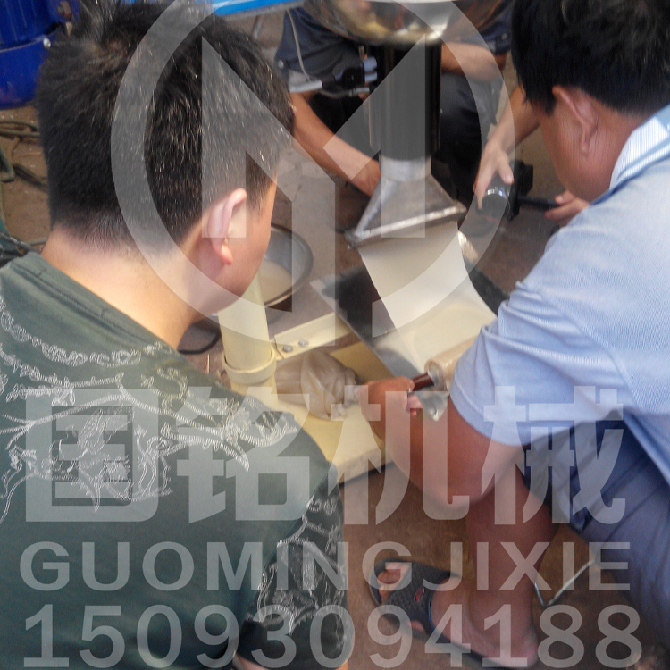 MPJ-45面皮機